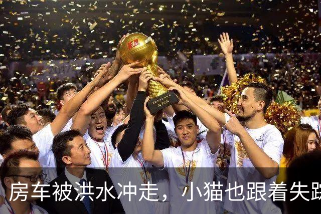 房车被洪水冲走，小猫也跟着失踪，8天后它突然回家了，全家人都哭了